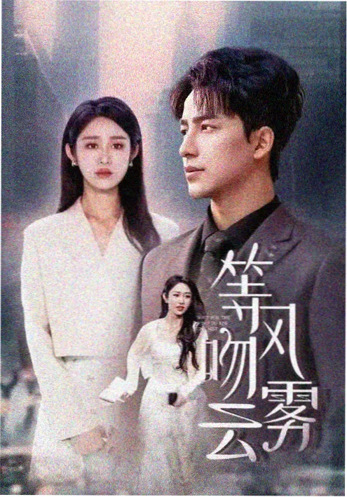 冬柏花开 家庭温情韩剧海报